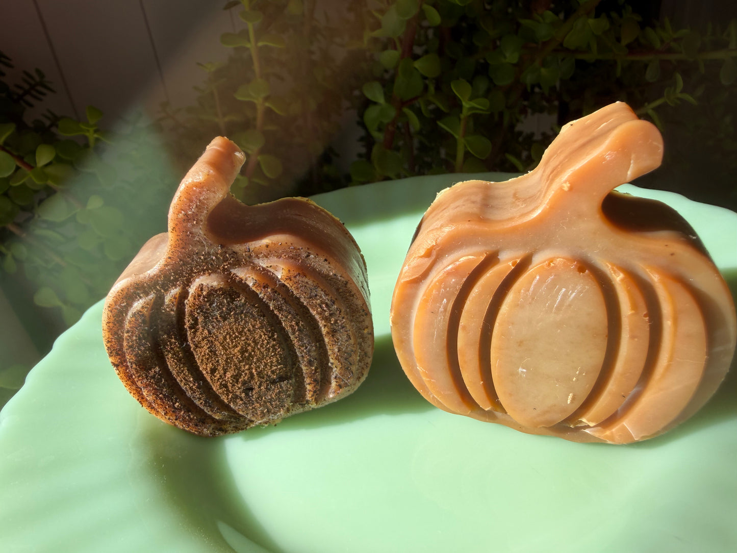 Pumpkin Patch Spiced Set (2)