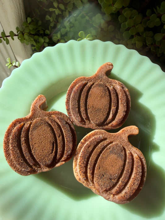 Pumpkin Patch Spiced Soap (3)