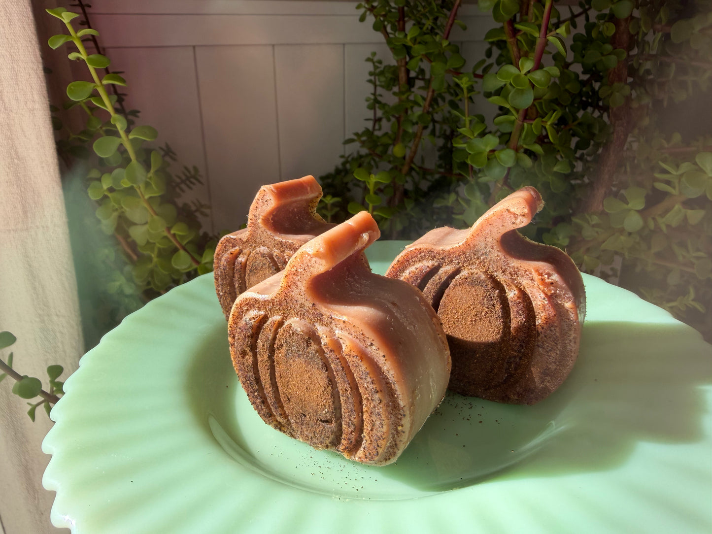 Pumpkin Patch Spiced Soap (3)